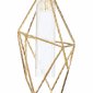 Подвесной светодиодный светильник Lucia Tucci Naomi 4750.1 Gold