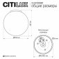 Настенно-потолочный светильник Citilux Ron CL941D25B1