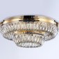 Потолочный светодиодный светильник Ambrella light Traditional TR5031