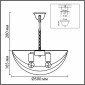 Подвесная люстра Lumion Amalia 8377/5
