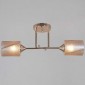 Потолочная люстра Reluce 51460-0.3-02 FG