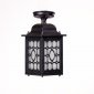 Потолочный светильник уличный Oasis Light LONDON S 64805SA Bl