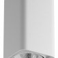 Накладной светильник Lightstar Monocco 052136-IP65