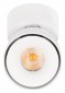 Спот Loft IT Focus 10323/A White
