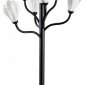 Интерьерная настольная лампа Odeon Light Gardi 5090/6T