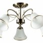 Потолочная люстра Arte Lamp Blossom A2709PL-5AB