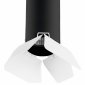 Потолочный светильник Lightstar Rullo (214487+202436) R487436