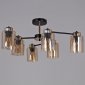 Потолочная люстра  01606-0.3-06 BK+FGD