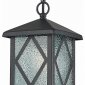 Уличный светильник подвесной ST Luce Lorne SL084.403.01