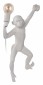 Настенный светильник Loft IT Monkey 10314W/A
