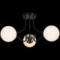 Потолочная люстра Reluce 81704-0.3-03