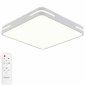 Потолочный светильник Modern LED LAMPS 81331