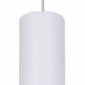 Подвесной светильник Reluce Technical 16007 16007-0.9-001LD 300mm GU10 WT+GD