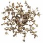 Настенный светильник Loft IT Spark 10101W Gold