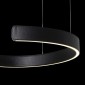 Подвесной светодиодный светильник Loft IT Ring 10025/400 Black