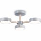 Люстра на штанге Ambrella Light FL FL4822