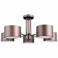 Потолочная люстра Omnilux Lisera OML-54507-05