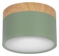 Накладной светодиодный светильник Loft IT Grape 10162 Green