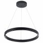 Подвесной светодиодный светильник Arte Lamp Lao A2189LM-1BK