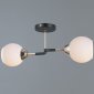 Потолочная люстра Illumico IL0689-2CSQ-24 BK FGD LIBRA