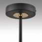 Потолочная люстра Lumion Vivana 8153/6C