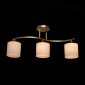 Потолочная люстра Тетро 673019203