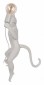 Настенный светильник Loft IT Monkey 10314W/B