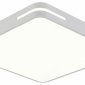Потолочный светильник Modern LED LAMPS 81331