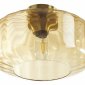 Потолочная люстра Odeon Light Binga 4747/1C