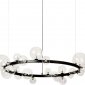 Подвесная люстра DeLight Collection Art Deco Bubble 8828P/L black/clear