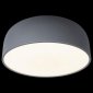 Потолочный светильник Loft IT Axel 10201/480 Grey