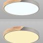 Потолочный светильник Scandinavian LED LAMPS 81184