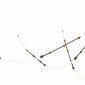 Подвесной светильник Indigo Corda 14010/3P Brass
