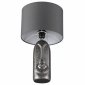 Интерьерная настольная лампа Akivi 8146/1Т