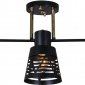 Потолочная люстра Reluce 06074-3.3-03 BK+FG