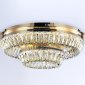 Потолочный светодиодный светильник Ambrella light Traditional TR5031