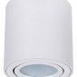 Потолочный светильник Arte Lamp Beid A1513PL-1WH