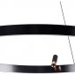 Подвесной светильник Arte Lamp Cesare A1993SP-38BK
