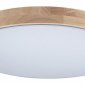 Потолочный светильник Loft IT Axel 10004/36 Grey