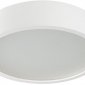 Потолочный светодиодный светильник Kanlux Jasmin 23126