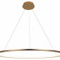 Подвесной светодиодный светильник Loft IT Ring 10014XL