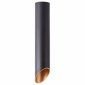 Потолочный светильник Arte Lamp Pilon-Gold A1536PL-1BK