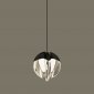 Подвесной светильник DeLight Collection MD24001033 MD24001033-1A black/clear