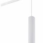 Трековый светильник Denkirs DK6210-WH