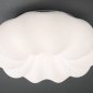 Потолочный светильник Soft ZRS.1118.3