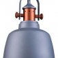Подвесной светильник Lucia Tucci Industrial 1820.1 Sand Silver