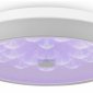Накладной светильник Freya LED FR10012CL-L24W