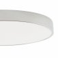 Потолочный светильник Tortty ZRS.02565.96