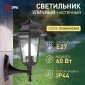 Светильник на штанге Эра  НБУ 06-60-001 черный