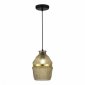 Подвесной светильник Cocoon SL1661.403.01